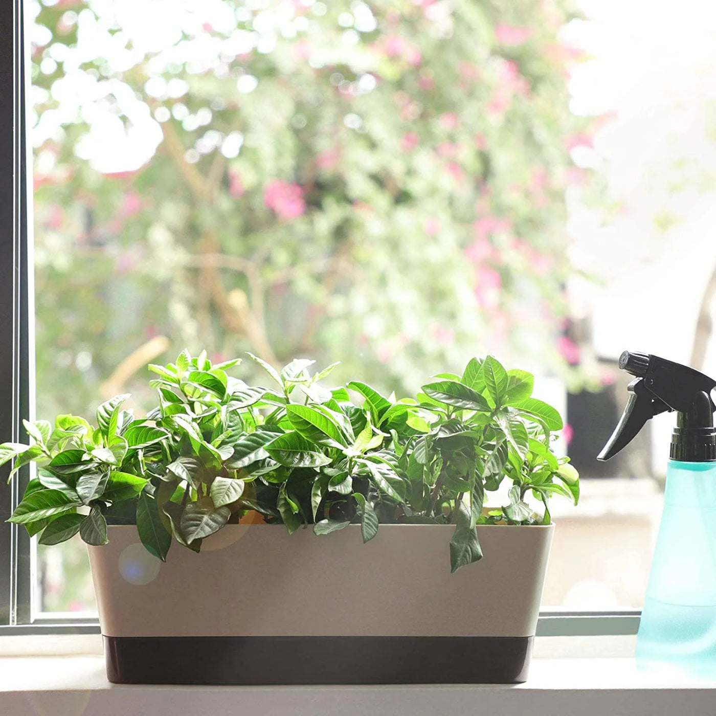 1 Pcs Plastic Succulent Plant Pot, Rectangular Plant Pot with Drainage Holes, Long Shallow Pot for Bay Window, Kitchen Windowsill, Shelf, Coffee Table