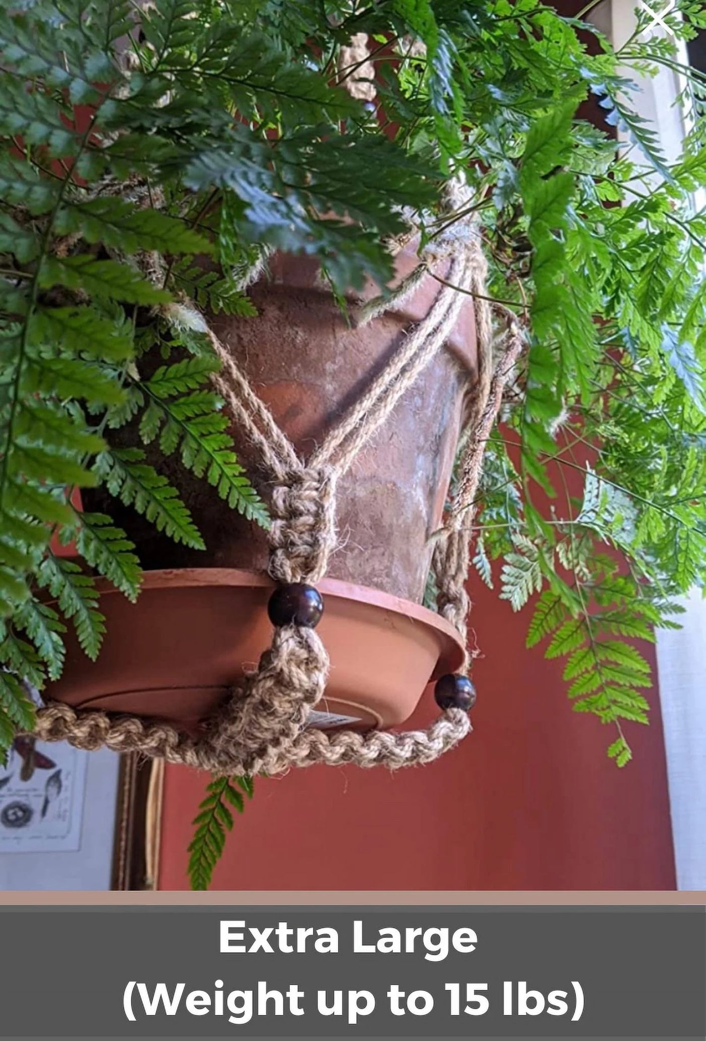 Hanging Planter for 12 Inch Pot (Extra Long 43Inch + Large) | Macrame Plant Hanger, Hanging Plant , Jute
