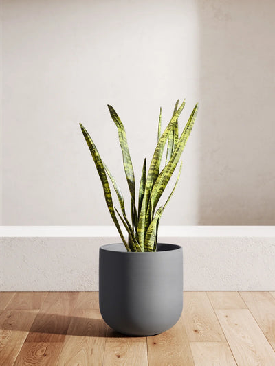 10" Plant Pots, Ceramic Flower Pots with Drainage Hole & Plug, Indoor Planter for Outdoor Decorative,Charcoal Gray