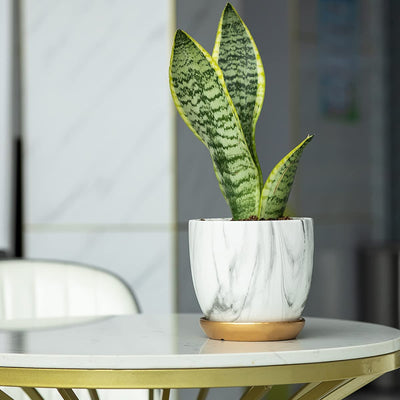 7 Inch Plant Pot with Drainage and Saucer, 5.5 Inch Ceramic Planters Indoor Plants, Flower Pot Outdoor, Marble Planter Pink Indoor Pots for Plants (7"+5.5" Plant Pot and Gold Saucers Inculded)