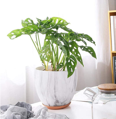 7 Inch Plant Pot with Drainage and Saucer, 5.5 Inch Ceramic Planters Indoor Plants, Flower Pot Outdoor, Marble Planter Pink Indoor Pots for Plants (7"+5.5" Plant Pot and Gold Saucers Inculded)