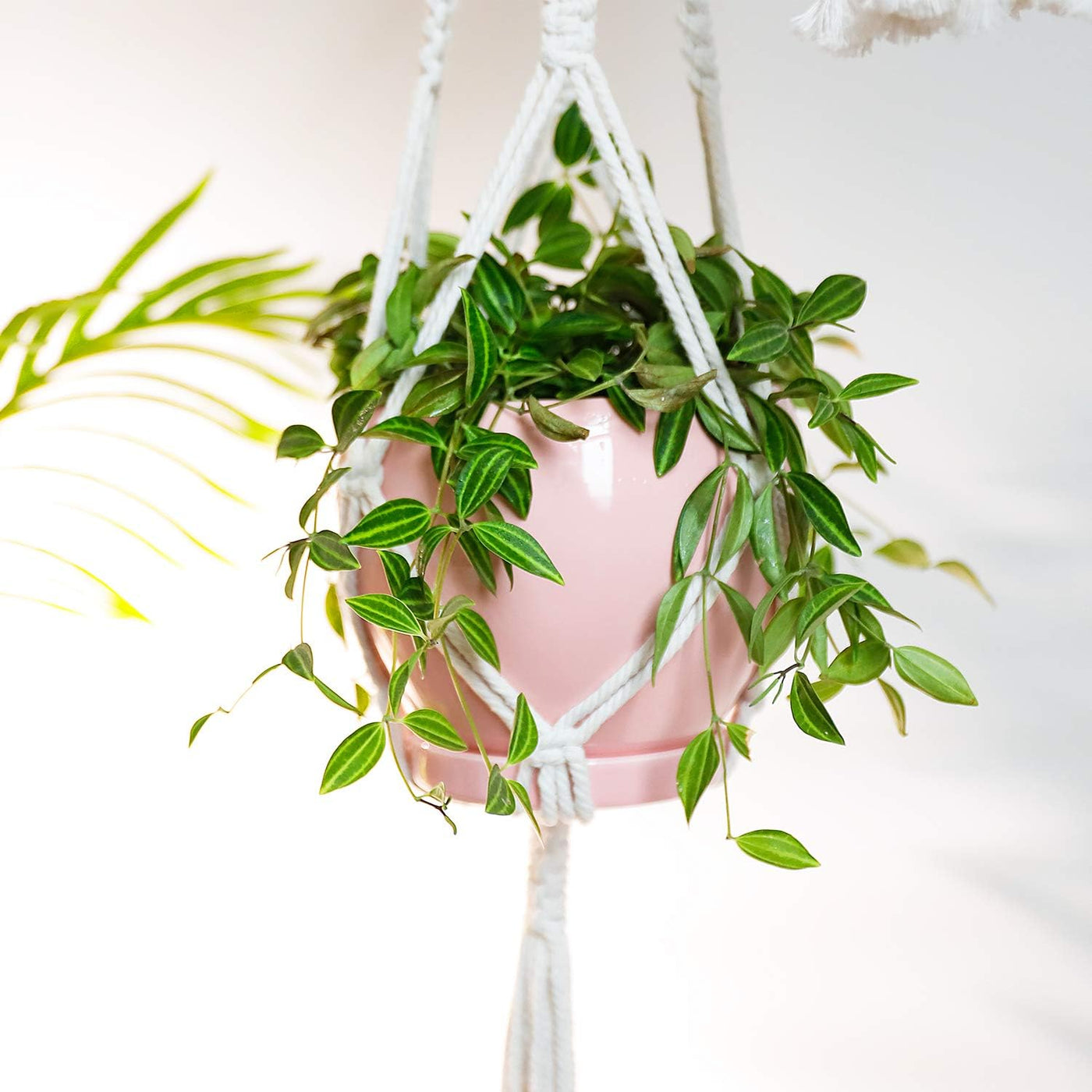 052503 Ceramic Plant Pot Planter - 5.6 Inches Pink Planter for Indoor Plants Flower Succulent with Drainage Hole & Saucer