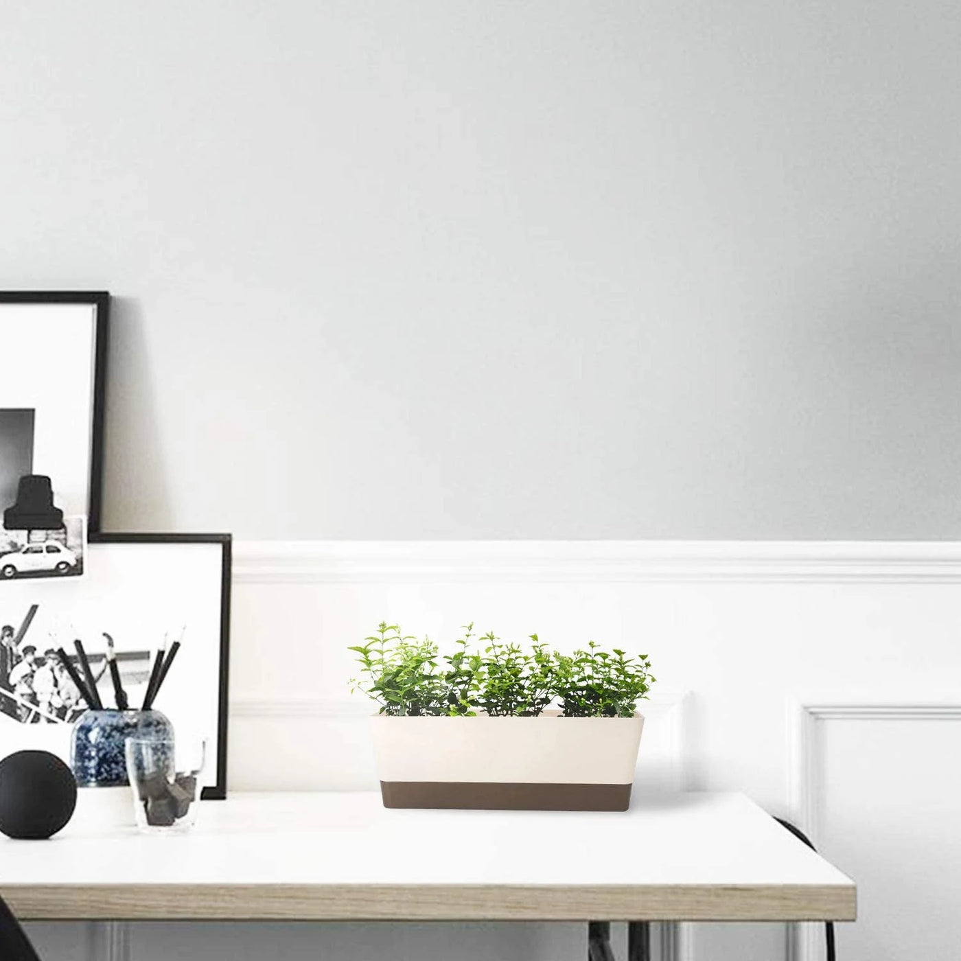 1 Pcs Plastic Succulent Plant Pot, Rectangular Plant Pot with Drainage Holes, Long Shallow Pot for Bay Window, Kitchen Windowsill, Shelf, Coffee Table