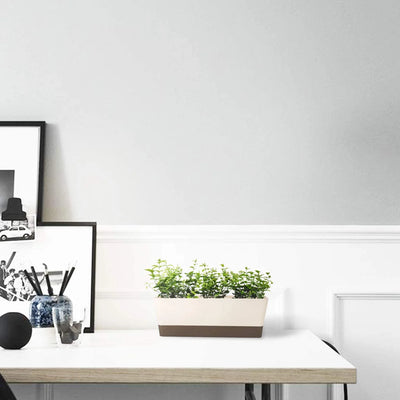 1 Pcs Plastic Succulent Plant Pot, Rectangular Plant Pot with Drainage Holes, Long Shallow Pot for Bay Window, Kitchen Windowsill, Shelf, Coffee Table