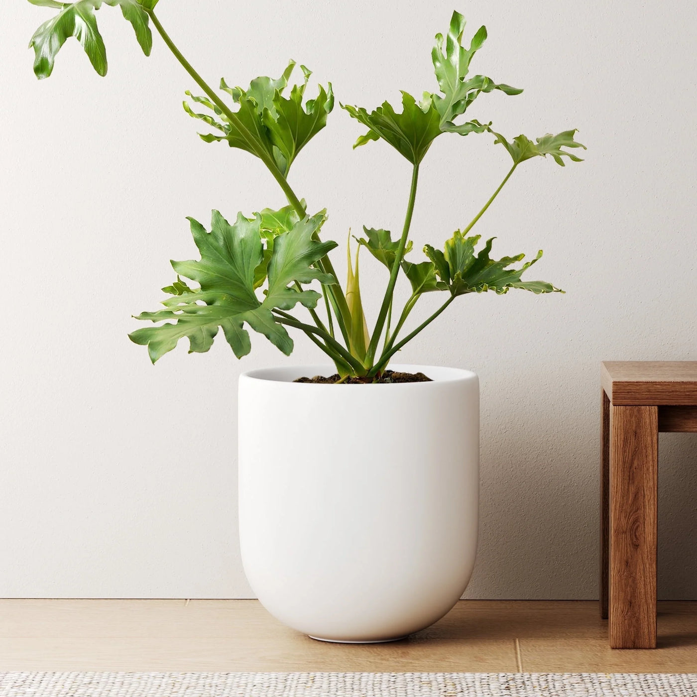 10" Ceramic Plant Pots, Indoor Planter with Drainage Hole & Plug, Ceramic Planter for Outdoor Decorative, White Planter