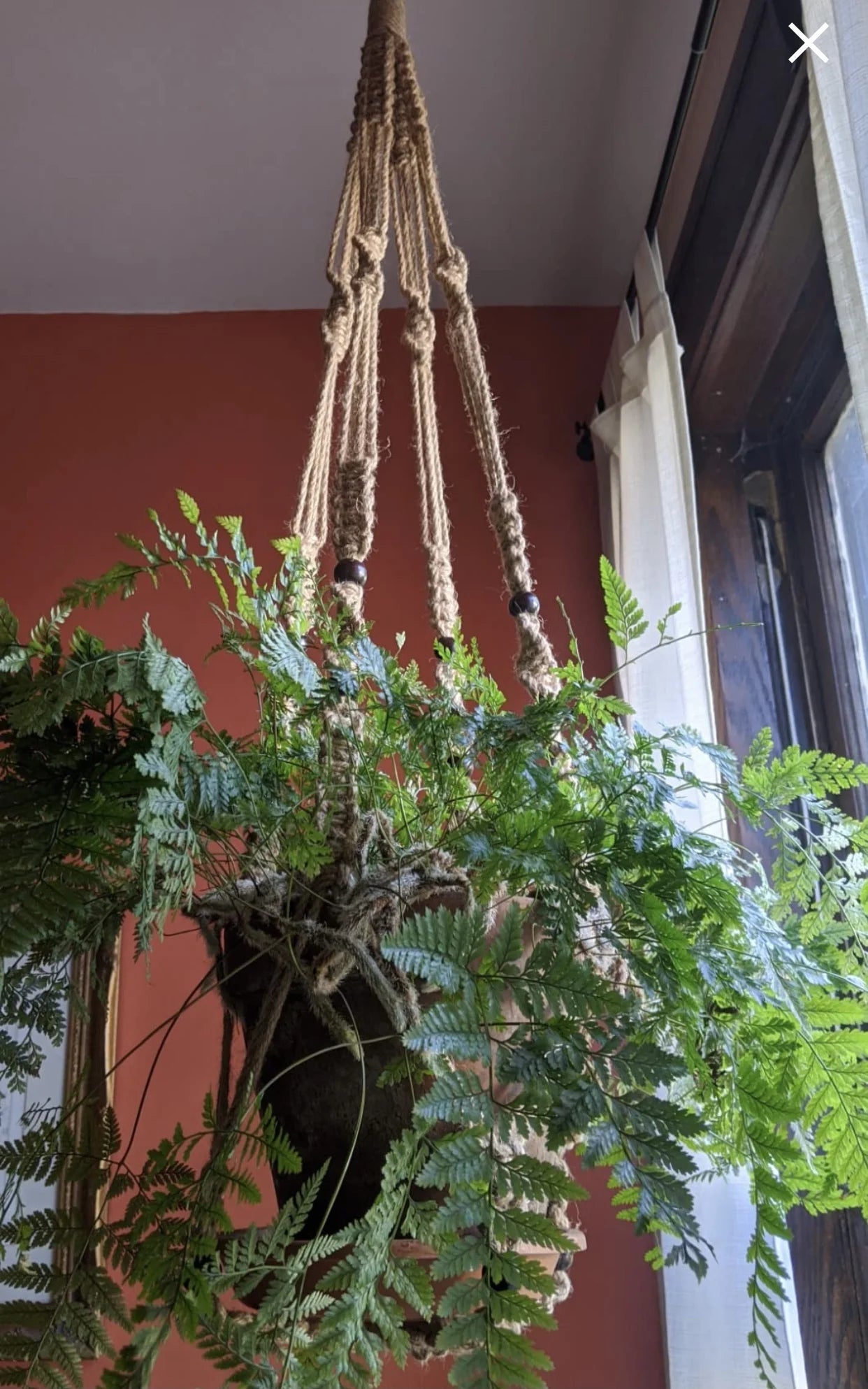 2PACK 43 Inches Macrame Planter Hanger Large for up to 12 Inch Pot + Swag Hook | Extra Long, No Tassel, Jute Rope | Hanging Planter for Indoor Plants, No Pot/Plant Included (Brown)